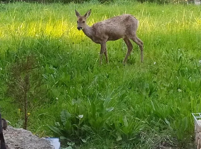 Privative Dans Ferme Renovee A 7mn De Perigueux Bed and Breakfast Champcevinel